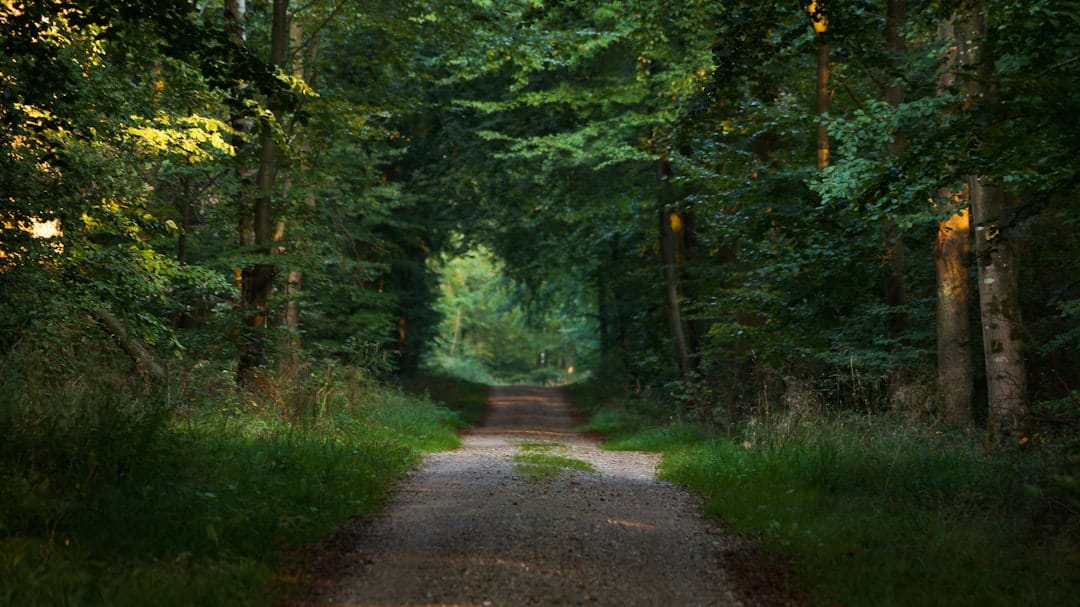 Photo Nature walk