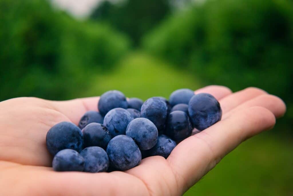 Photo Natural supplements
