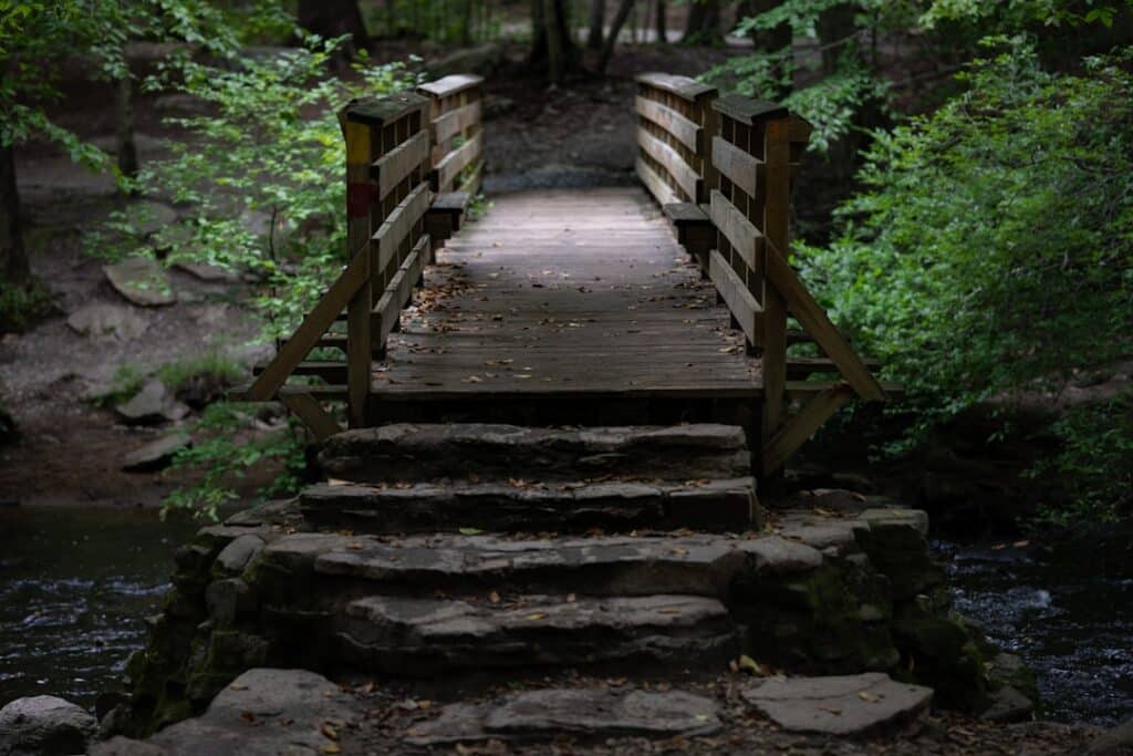 Photo Nature walk