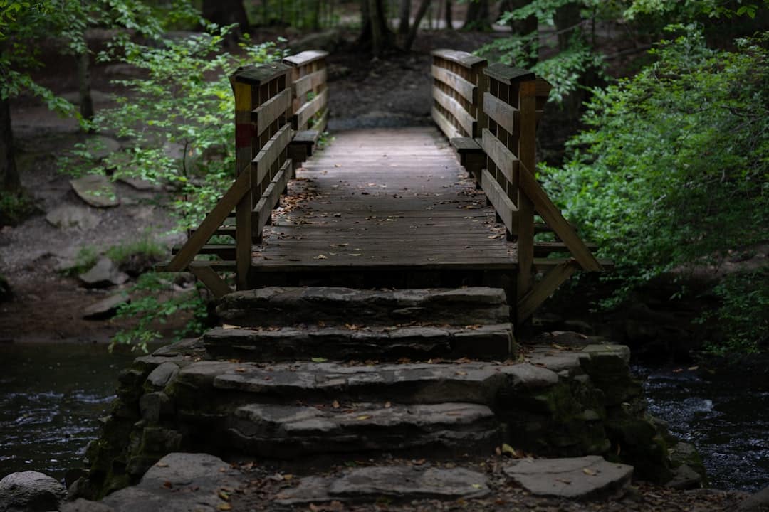 Photo Nature walk