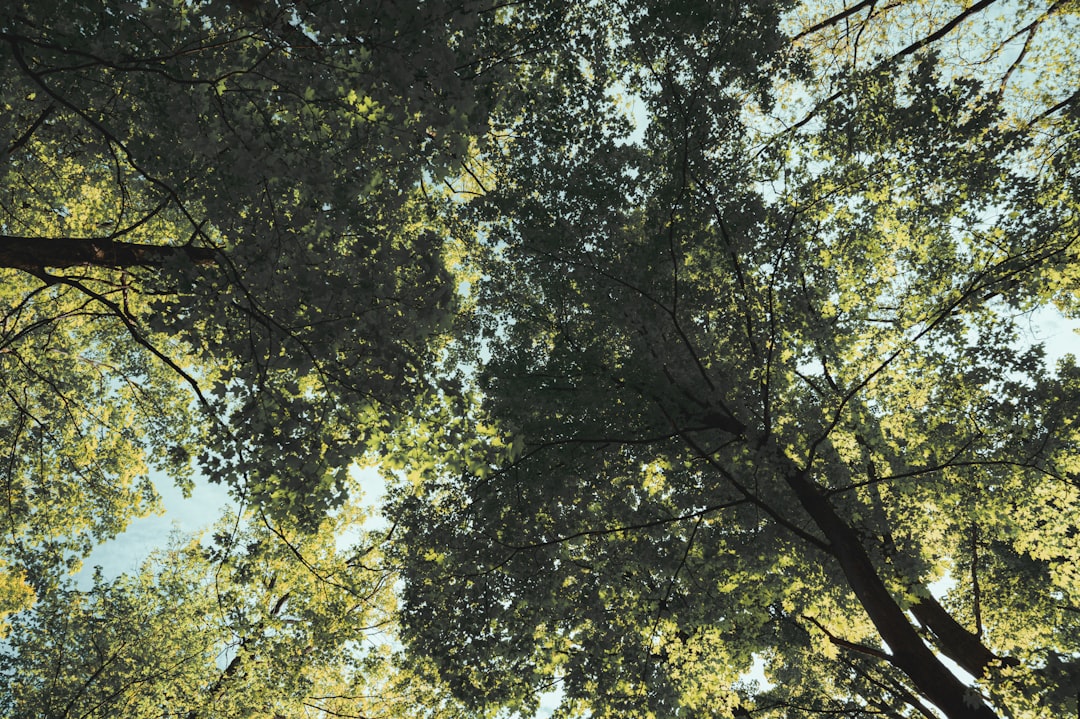 Photo Nature walk