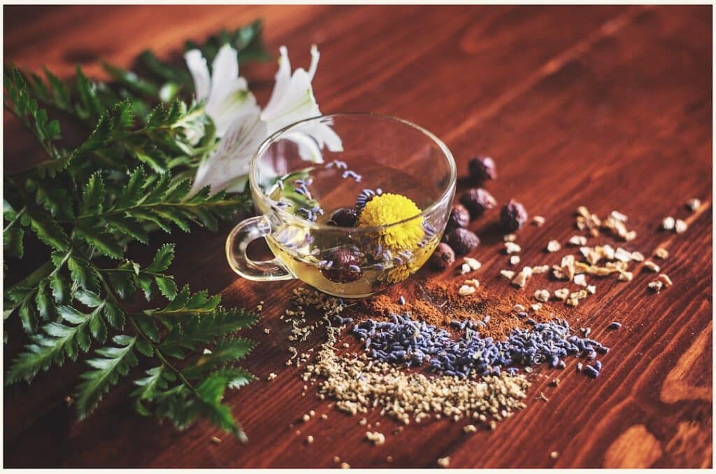Photo Herbal supplements