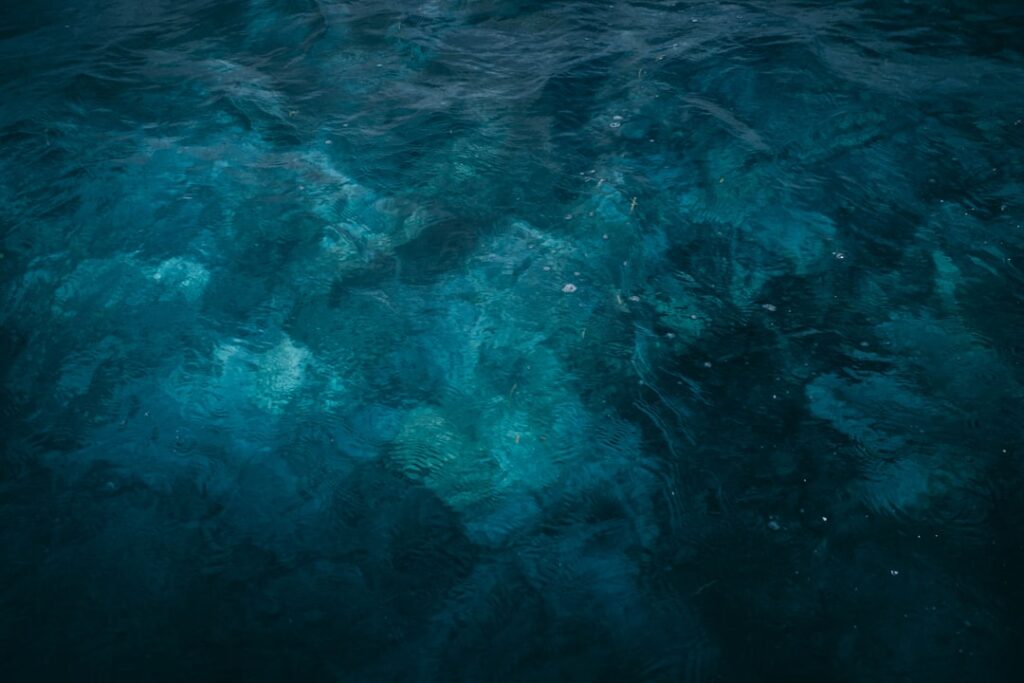 Photo Lungs Clear