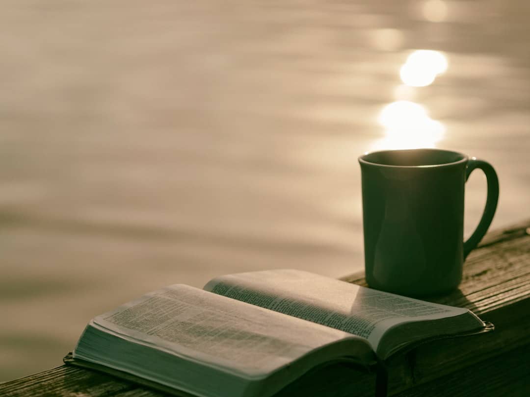 Photo Morning sunlight