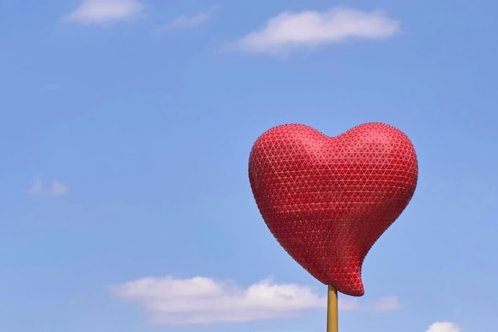Photo Heart diagram