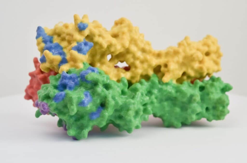 Photo Glutathione molecule